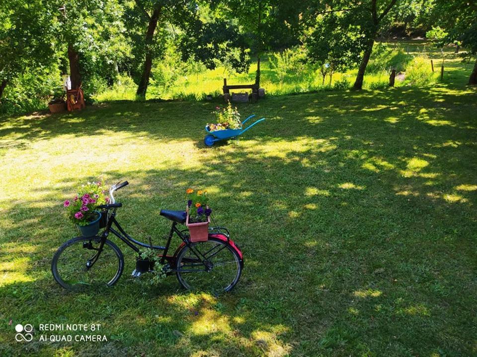 Casas Vale Martinho Bed and Breakfast Santa Comba Dao Εξωτερικό φωτογραφία