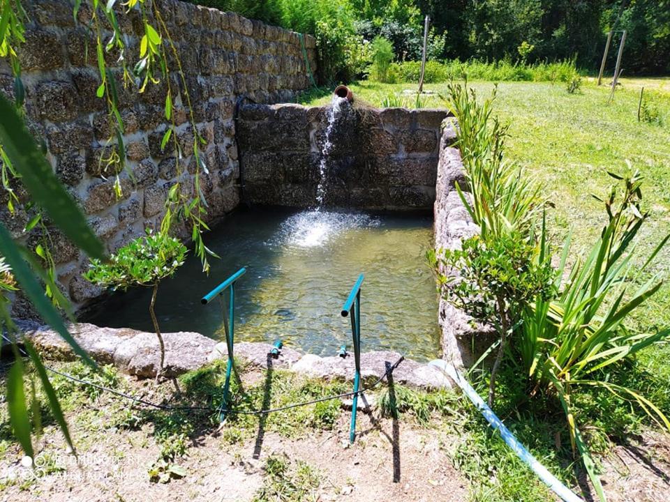 Casas Vale Martinho Bed and Breakfast Santa Comba Dao Εξωτερικό φωτογραφία