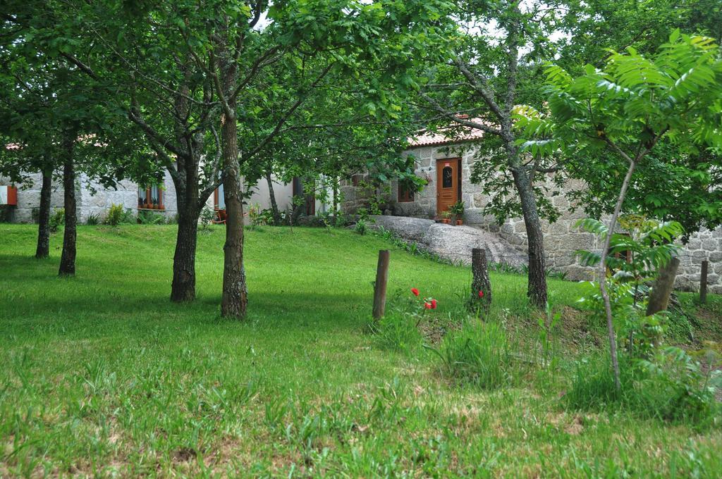 Casas Vale Martinho Bed and Breakfast Santa Comba Dao Εξωτερικό φωτογραφία